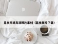 大同昆虫网站高清照片素材（昆虫图片下载）